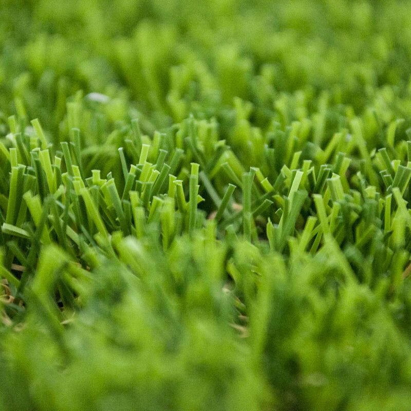 Campion 30mm Artificial Grass - Image 5 of 9