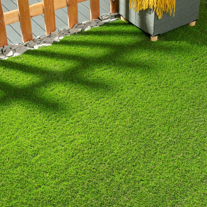 Daisy 40mm Artificial Grass - Image 1 of 11