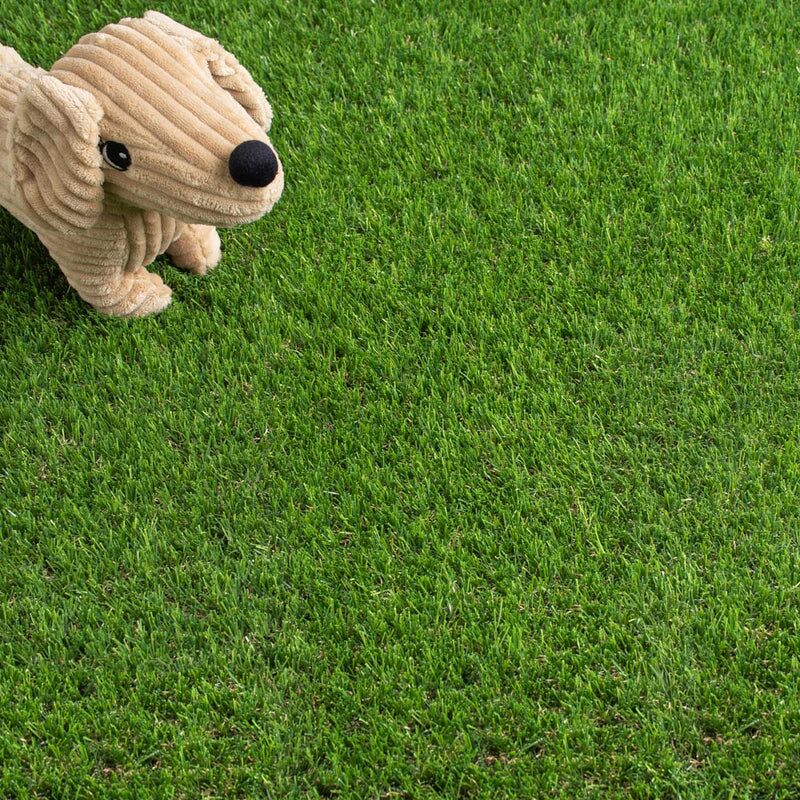 Daisy 40mm Artificial Grass - Image 7 of 11