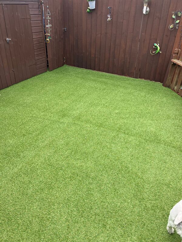 Eclipse 20mm Artificial Grass - Image 4 of 14