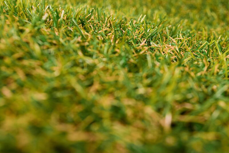 Eclipse 20mm Artificial Grass - Image 13 of 14