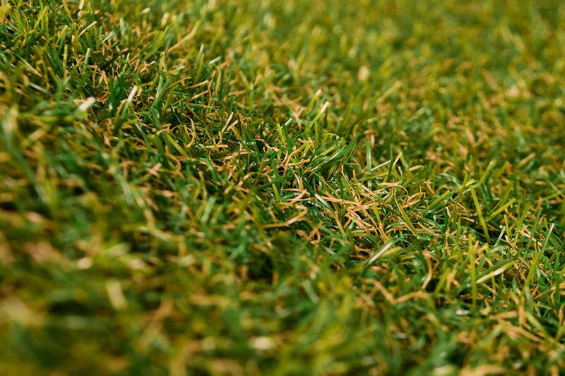Eclipse 20mm Artificial Grass - Image 14 of 14