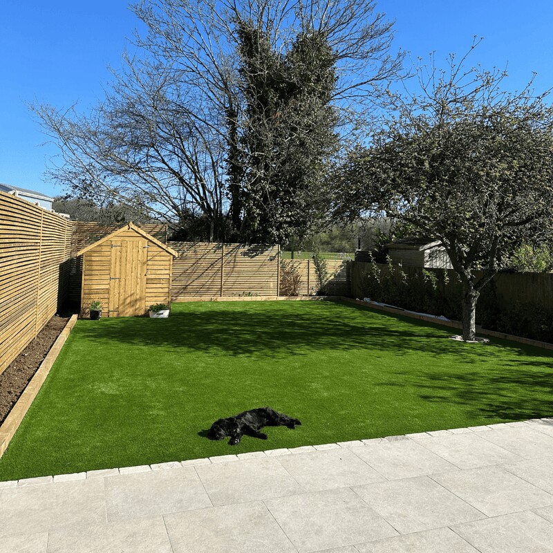 Pet friendly artificial grass