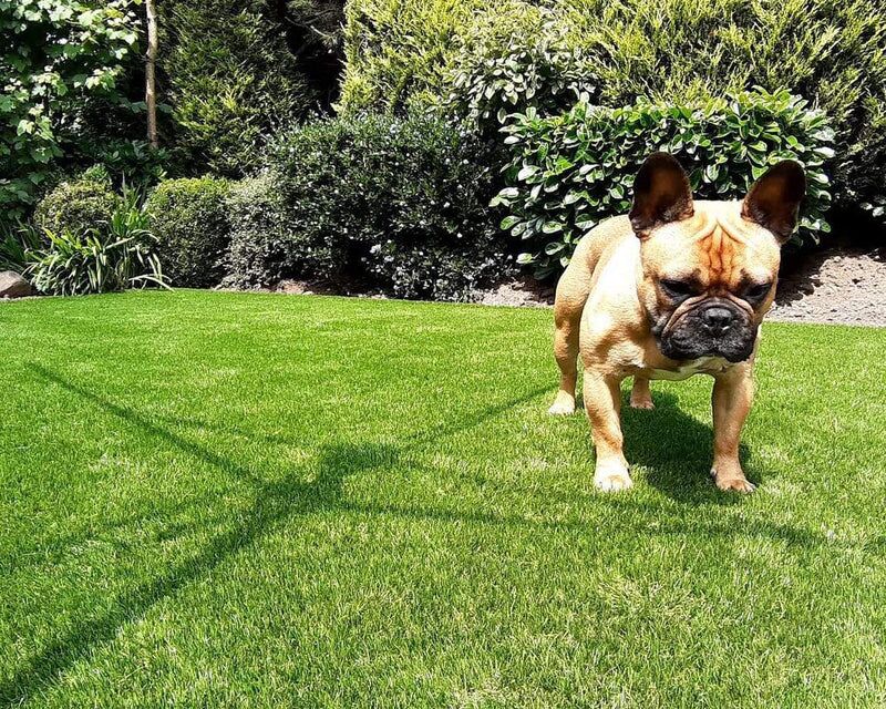 Galileo 32mm Artificial Grass - Image 6 of 13