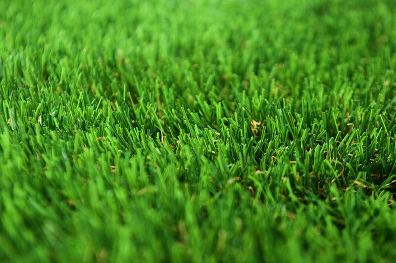 Galileo 42mm Artificial Grass - Image 9 of 13