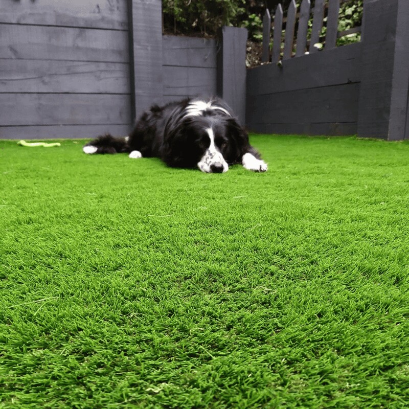 Hestia 30mm Artificial Grass - Image 1 of 12