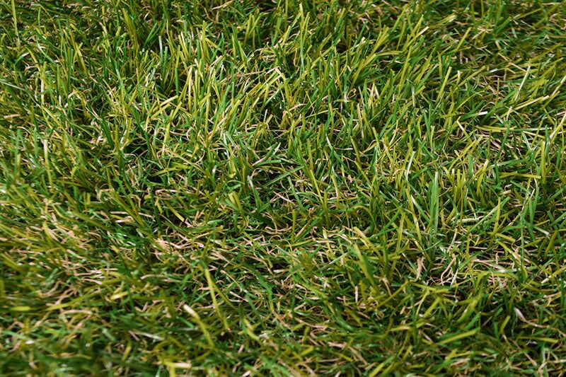 Hestia 30mm Artificial Grass - Image 9 of 12