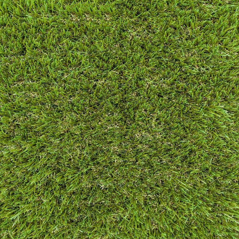 Holly 42mm Artificial Grass - Image 2 of 9