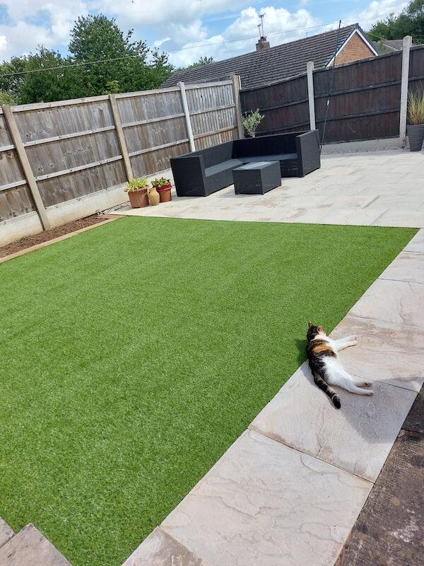 Lunar 20mm Artificial Grass - Image 2 of 19