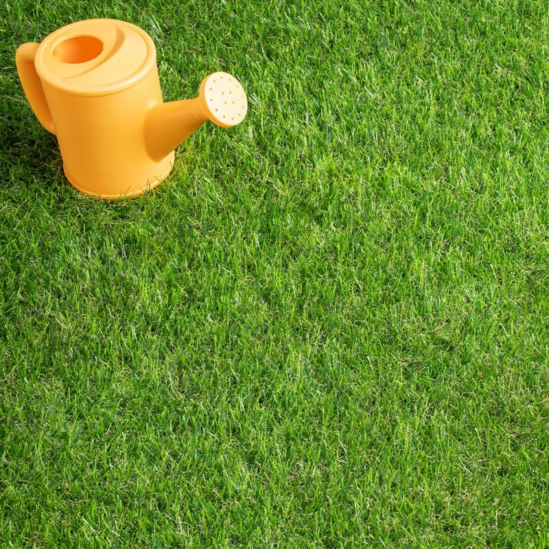 Maplespring 30mm Artificial Grass - Image 1 of 9