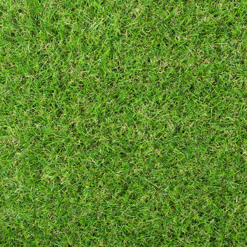 Maplespring 30mm Artificial Grass - Image 2 of 9