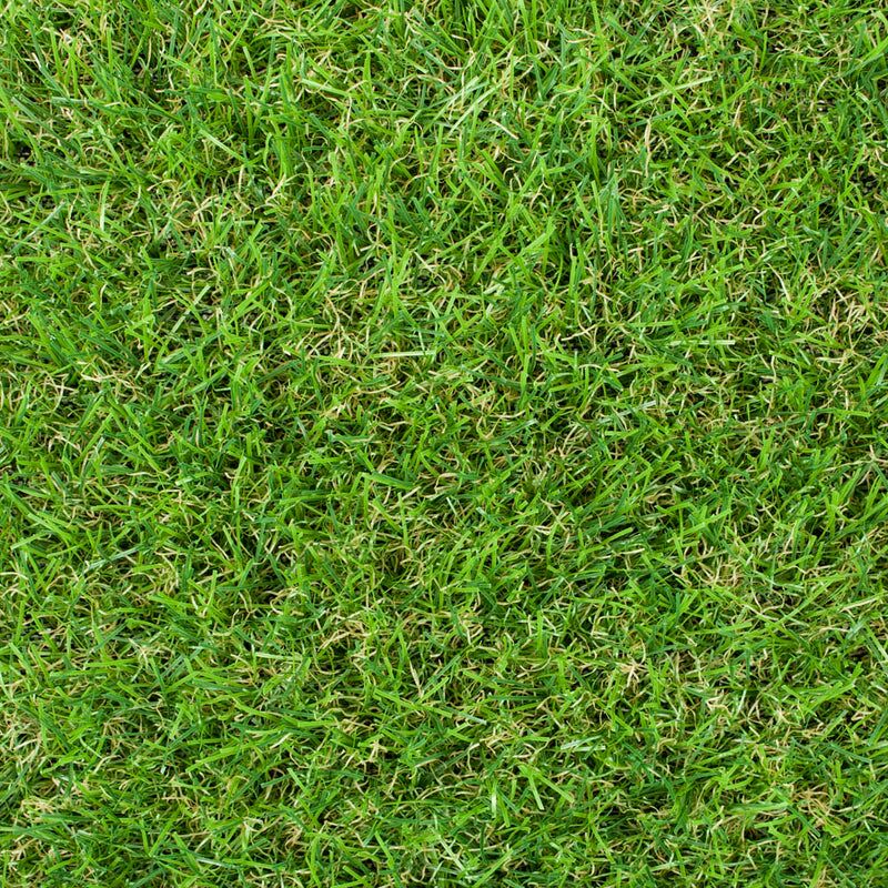 Maplespring 30mm Artificial Grass - Image 3 of 9