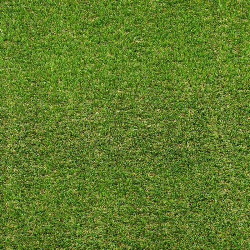 Palm Spring 47mm Artificial Grass - Image 3 of 10