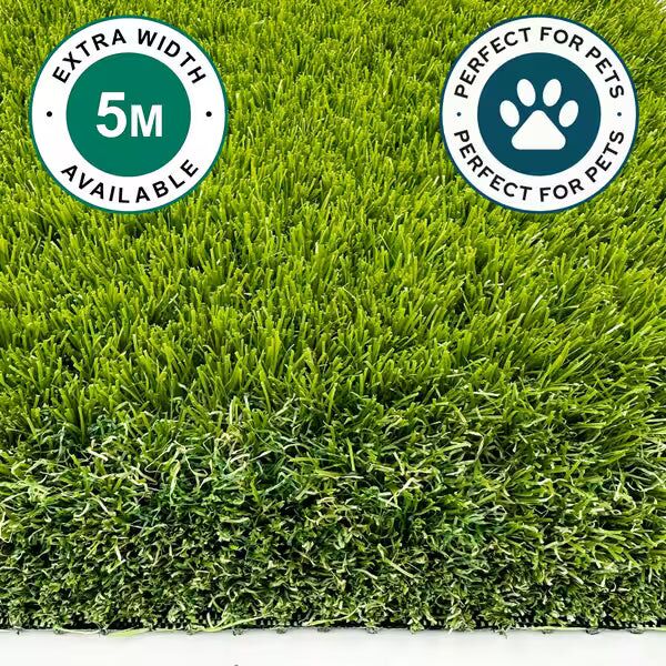 Pet Elite 50mm - Image 3 of 3