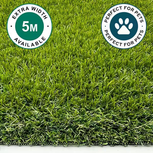 Pet Premium 30mm - Image 1 of 4