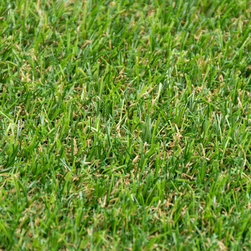 Severn 20mm Artificial Grass - Image 3 of 9