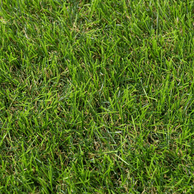 Stamford 40mm Artificial Grass - Image 7 of 11