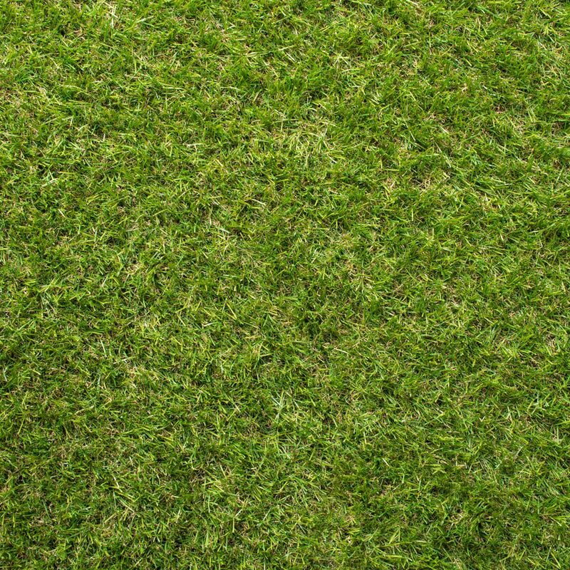Yewvista 30mm Artificial Grass - Image 2 of 12